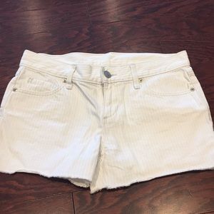 Loft Shorts